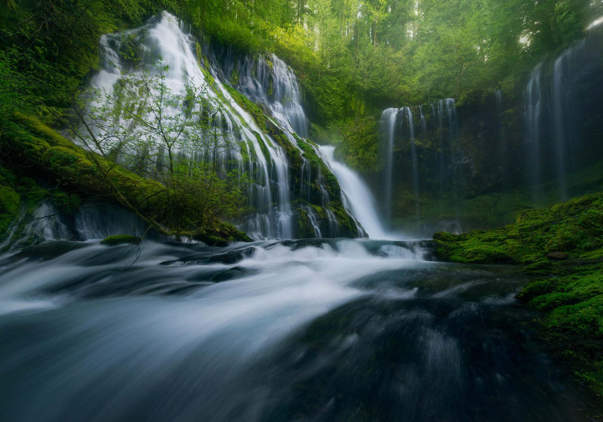 A raging Panther Creek Falls in spring. This is one of the most beautiful waterfalls in the Pacific Northwest