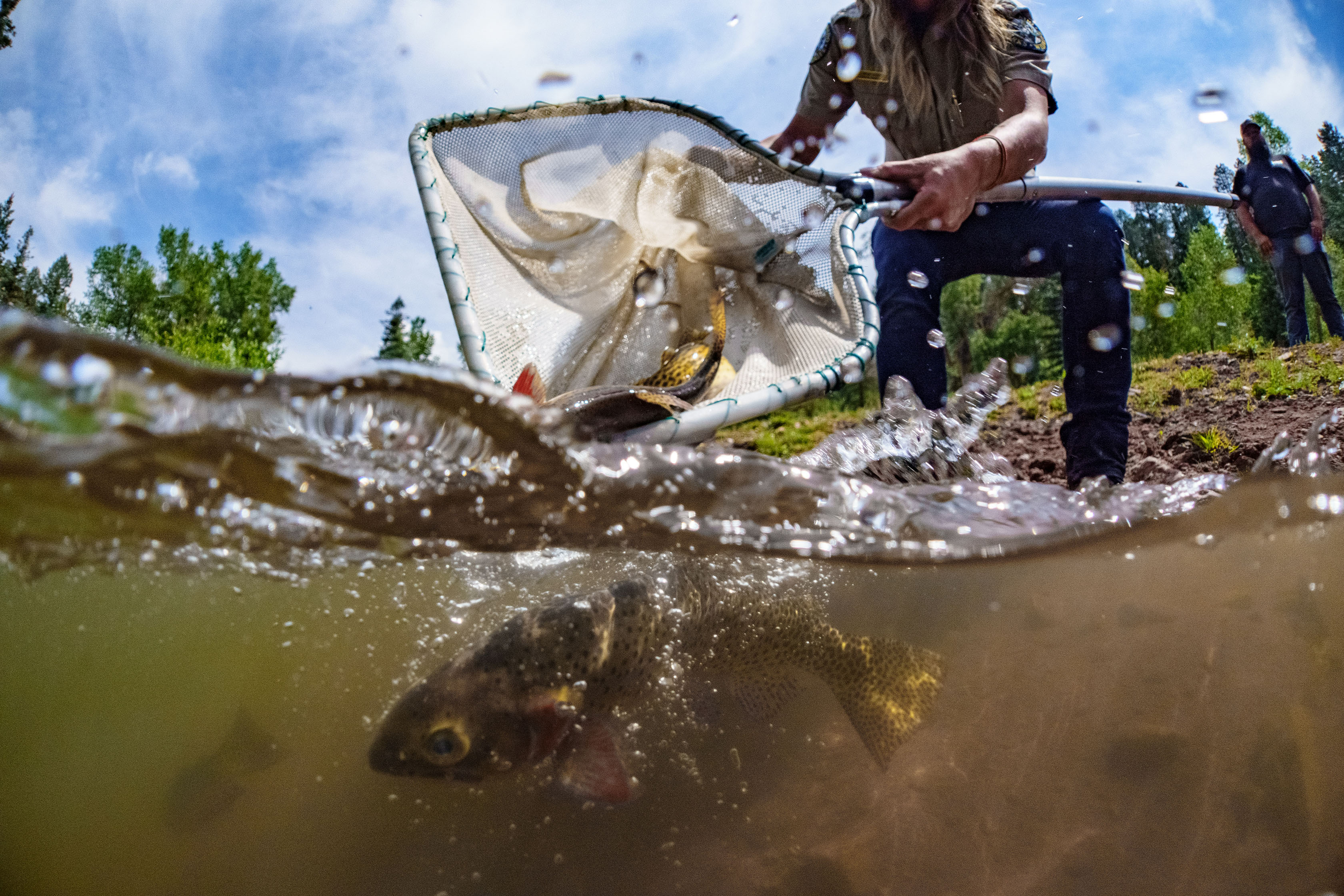 Closeup of fishing net held by a man kneeling close to water