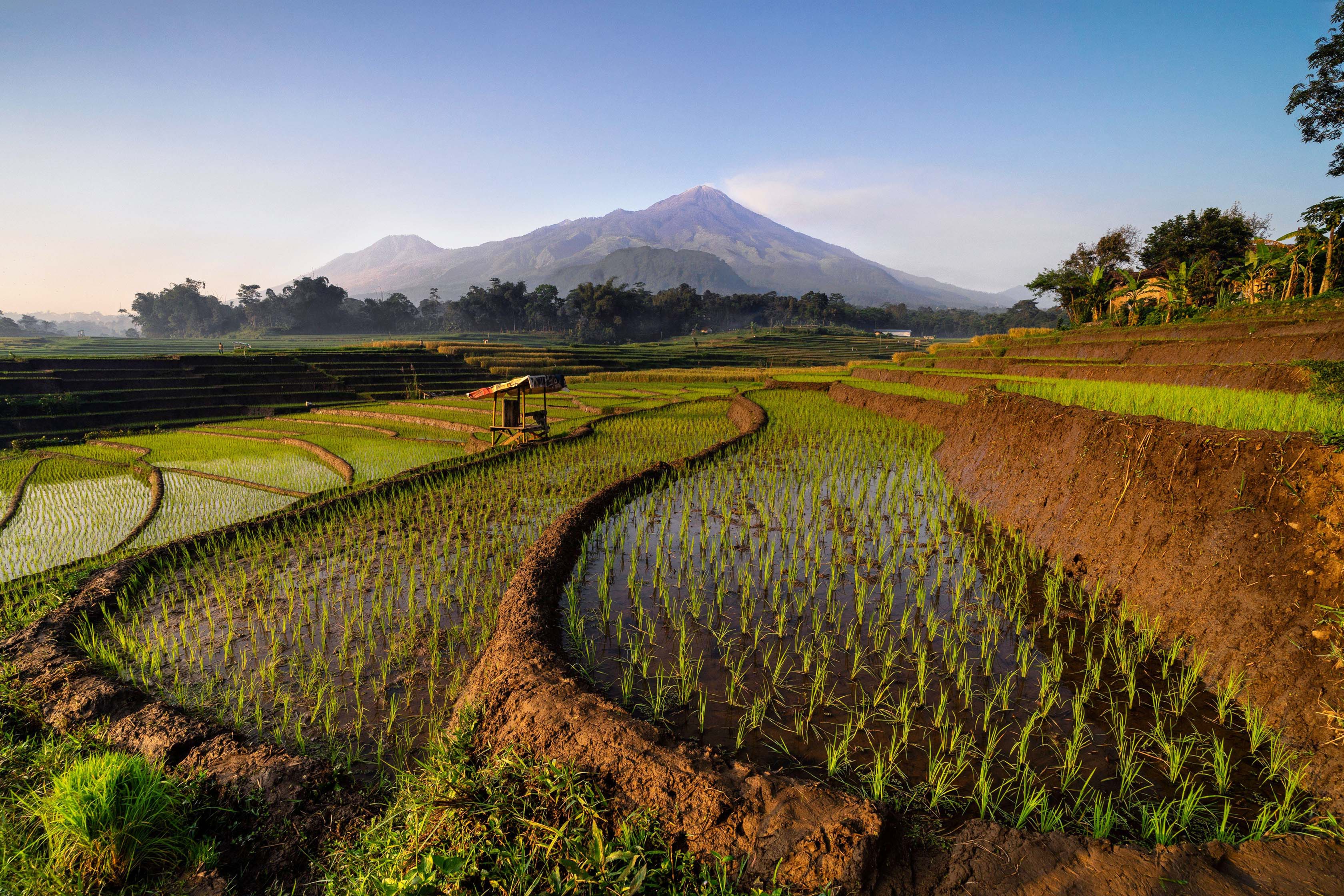 cultivated fields in foreground with mountains in background