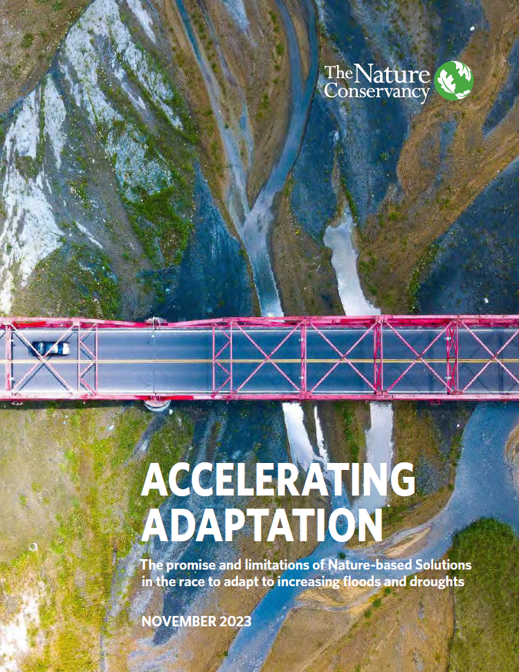 Accelerating Adaptation