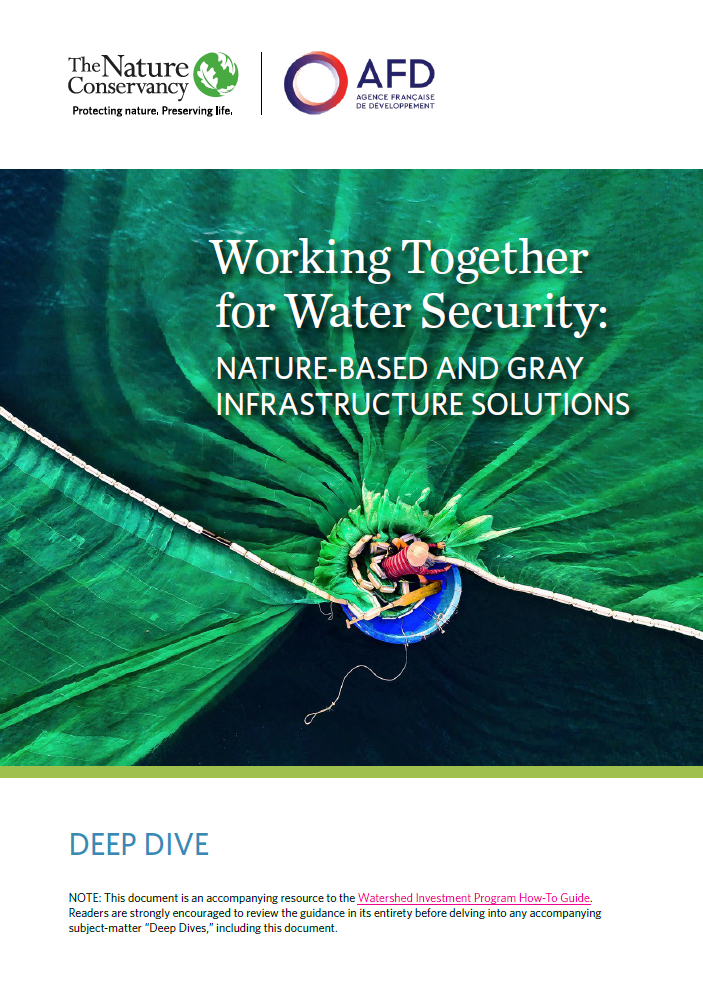 Deep Dive: Working Together for Water Security: Nature-based and Gray Infrastructure Solutions