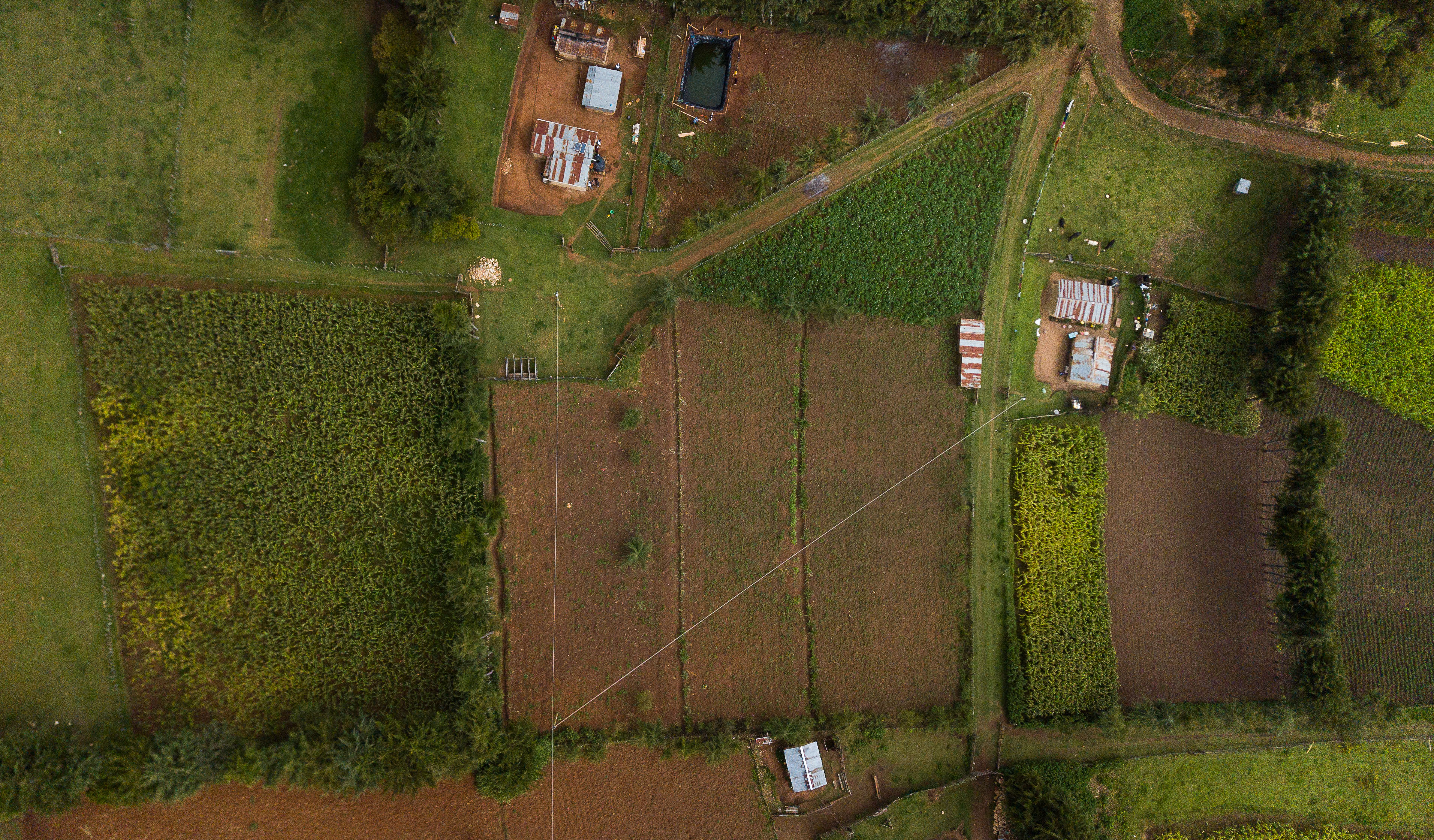 Aerial view of the catchment