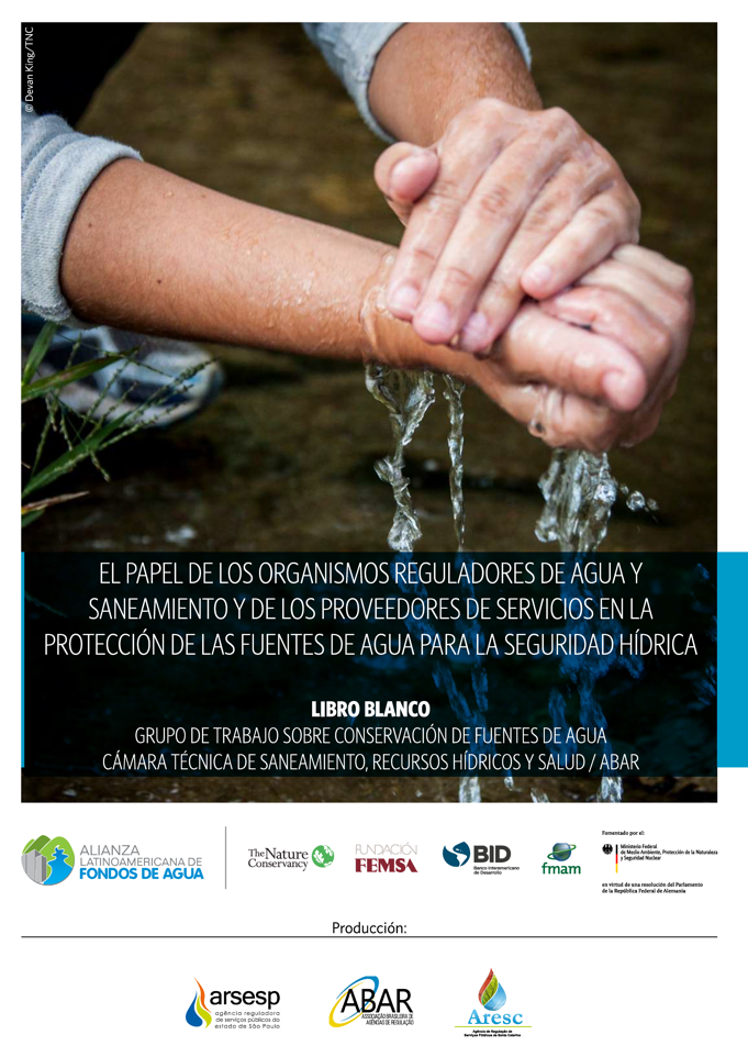 EL PAPEL DE LOS ORGANISMOS REGULADORES DE AGUA Y SANEAMIENTO Y DE LOS PROVEEDORES DE SERVICIOS EN LA PROTECCIÓN DE LAS FUENTES DE AGUA PARA LA SEGURIDAD HÍDRICA