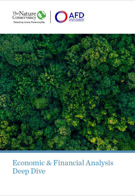 Economic & Financial Analysis Deep Dive