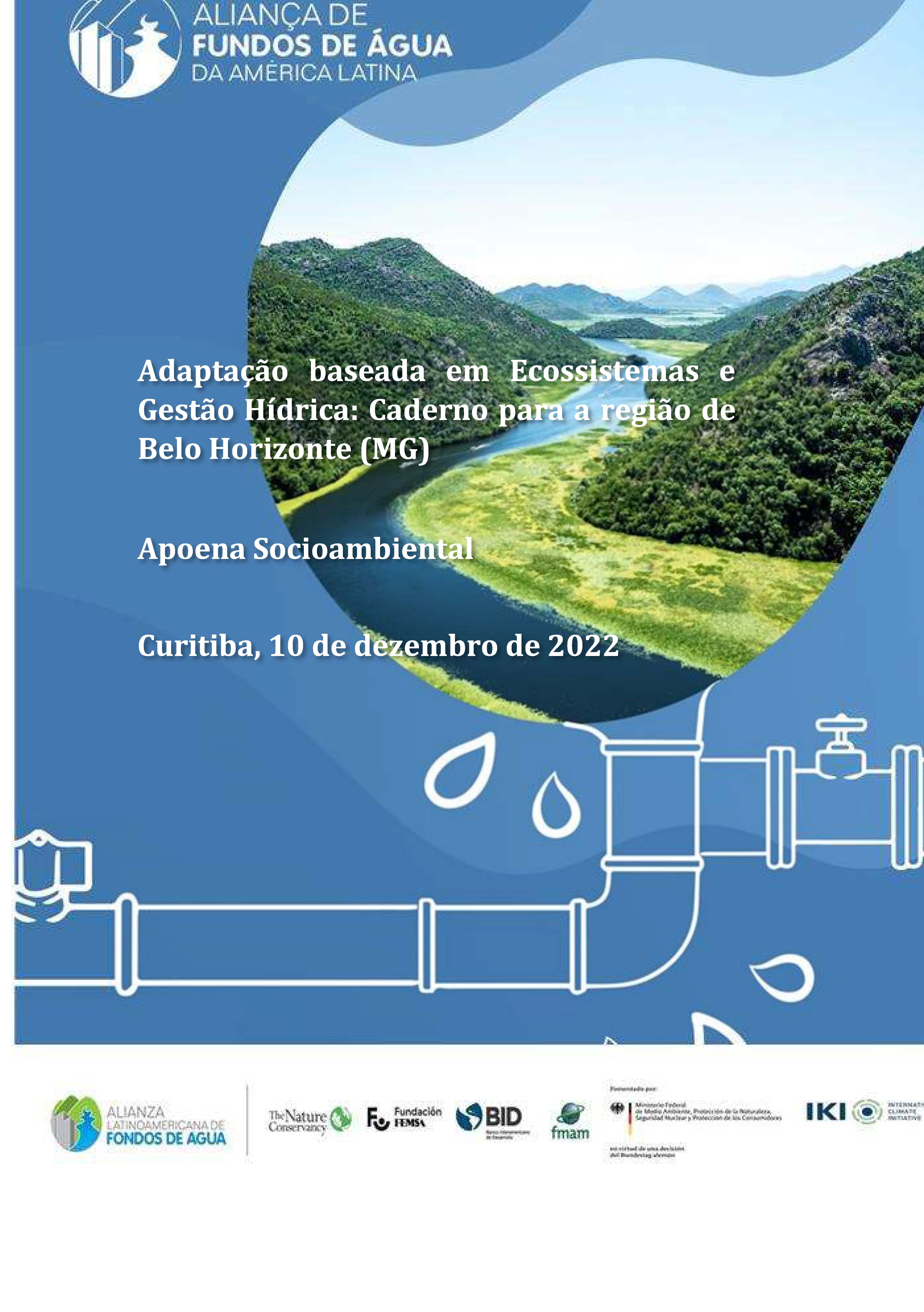 Ecosystem-based adaptation in Water Security: Belo Horizonte