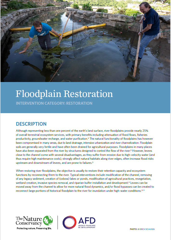 NbS Factsheet: Floodplain Restoration 