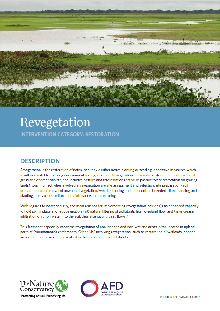 NbS Factsheet: Revegetation