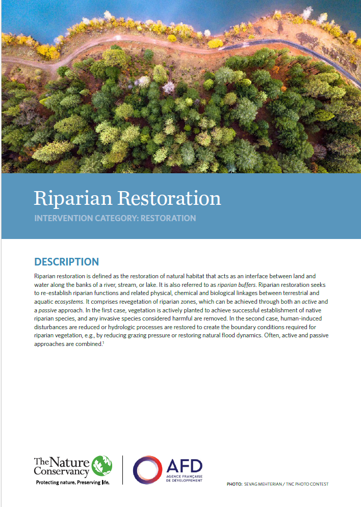 NbS Factsheet: Riparian Restoration