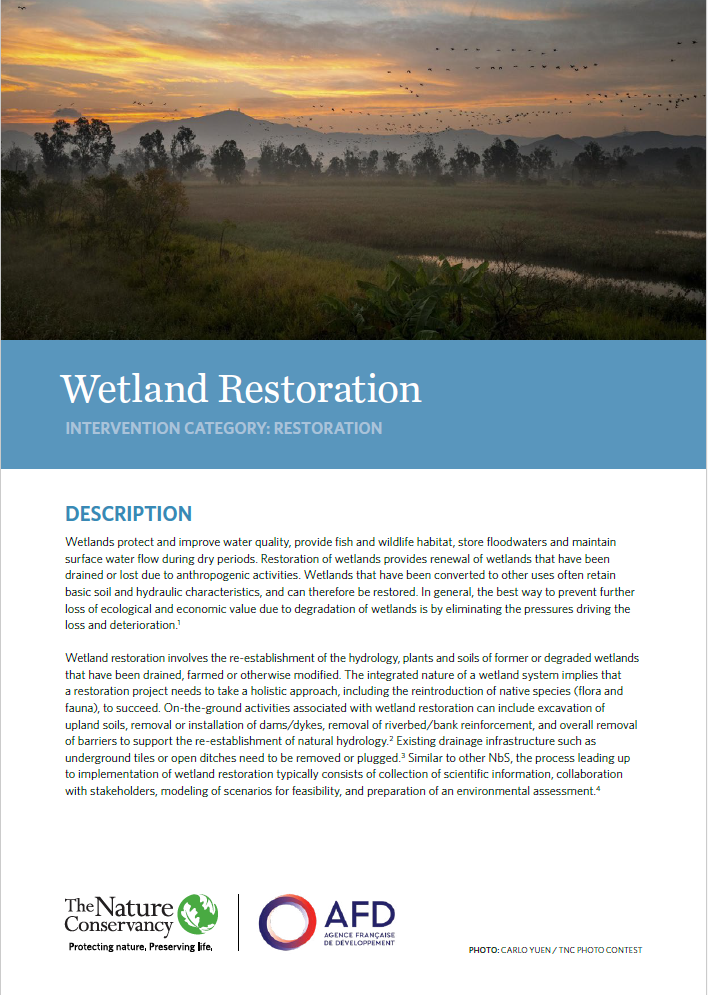 NbS Factsheet: Wetland Restoration 