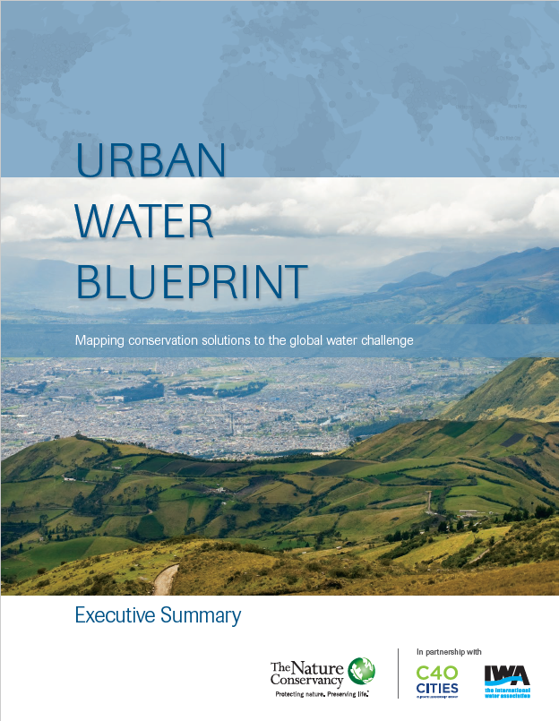 Urban Water Blueprint Executive Summary