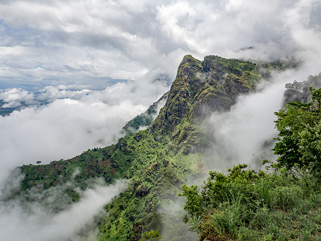 Usambara Mountains in mist