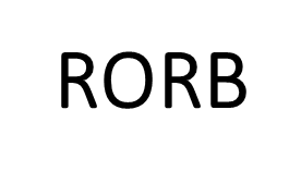 RORB