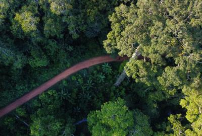 Aerial images of the Amani Forest and East Usambara Mountains.