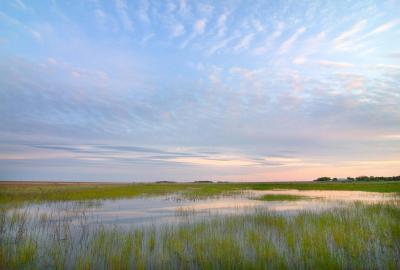Rainwater Basin wetland in south-central Nebraska.