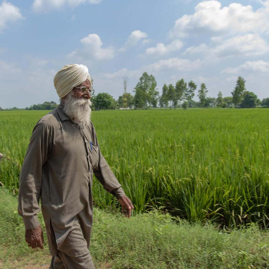 Man walking in the field