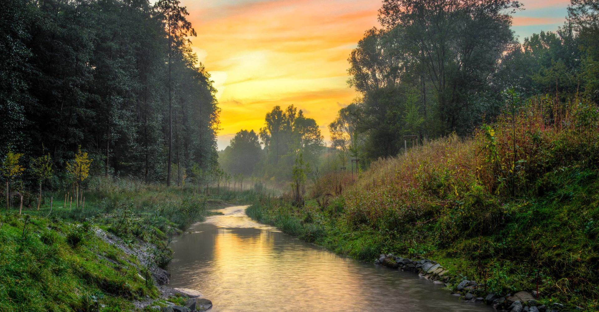 Front view of river and trees at its sides with sunset colors reflected on water
