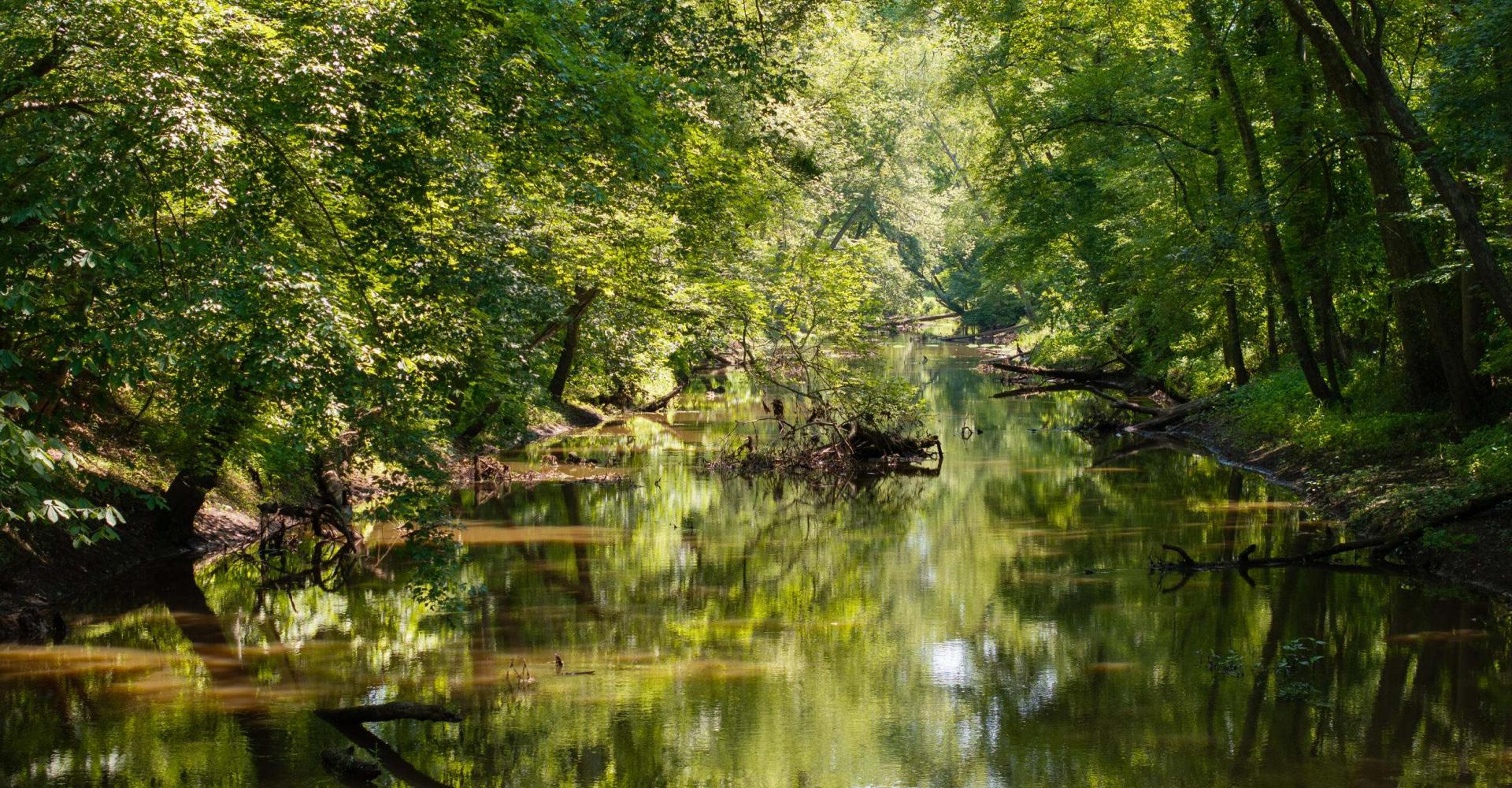 chesapeake