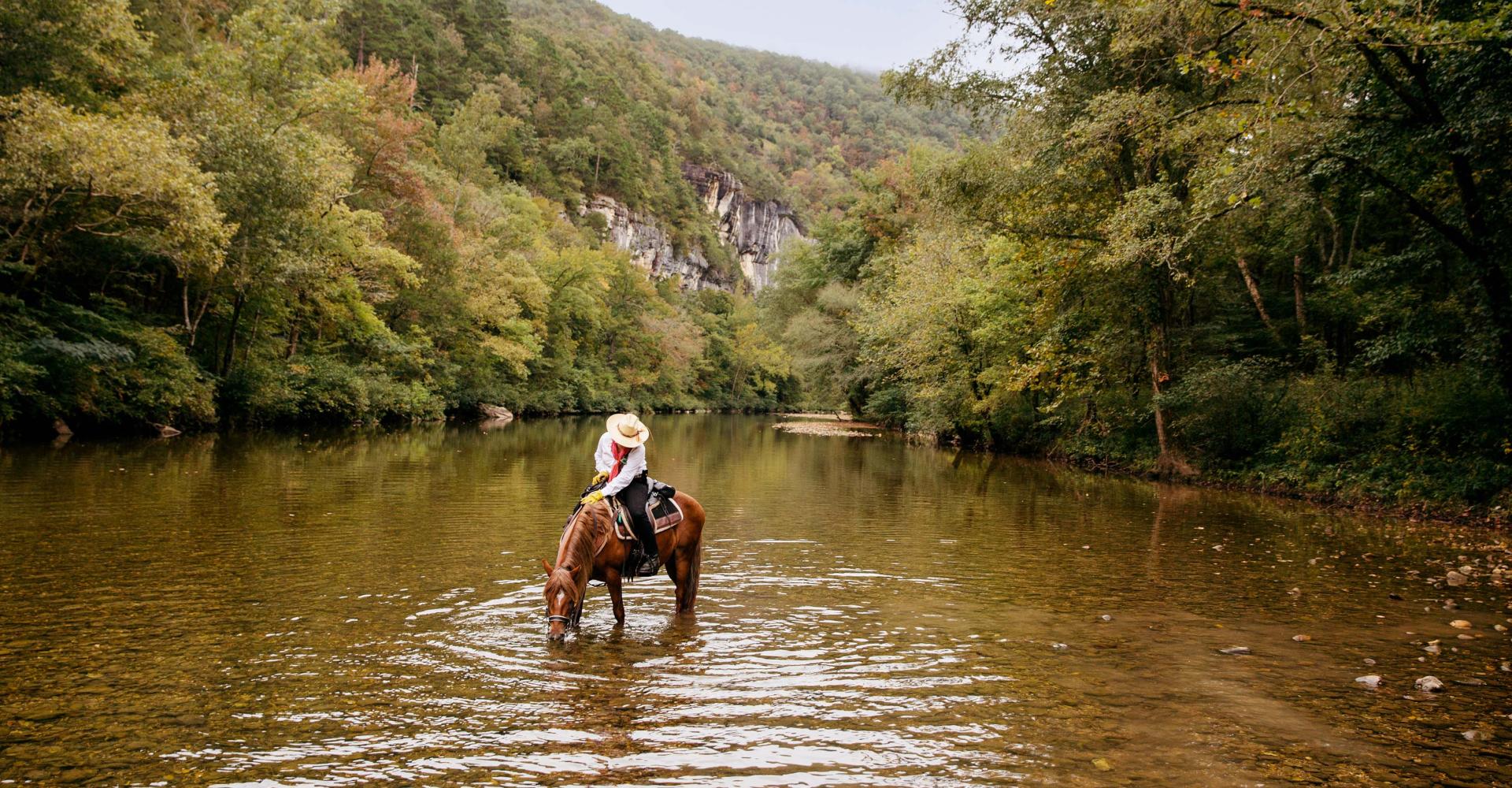 Man on horse that drinks water in a river