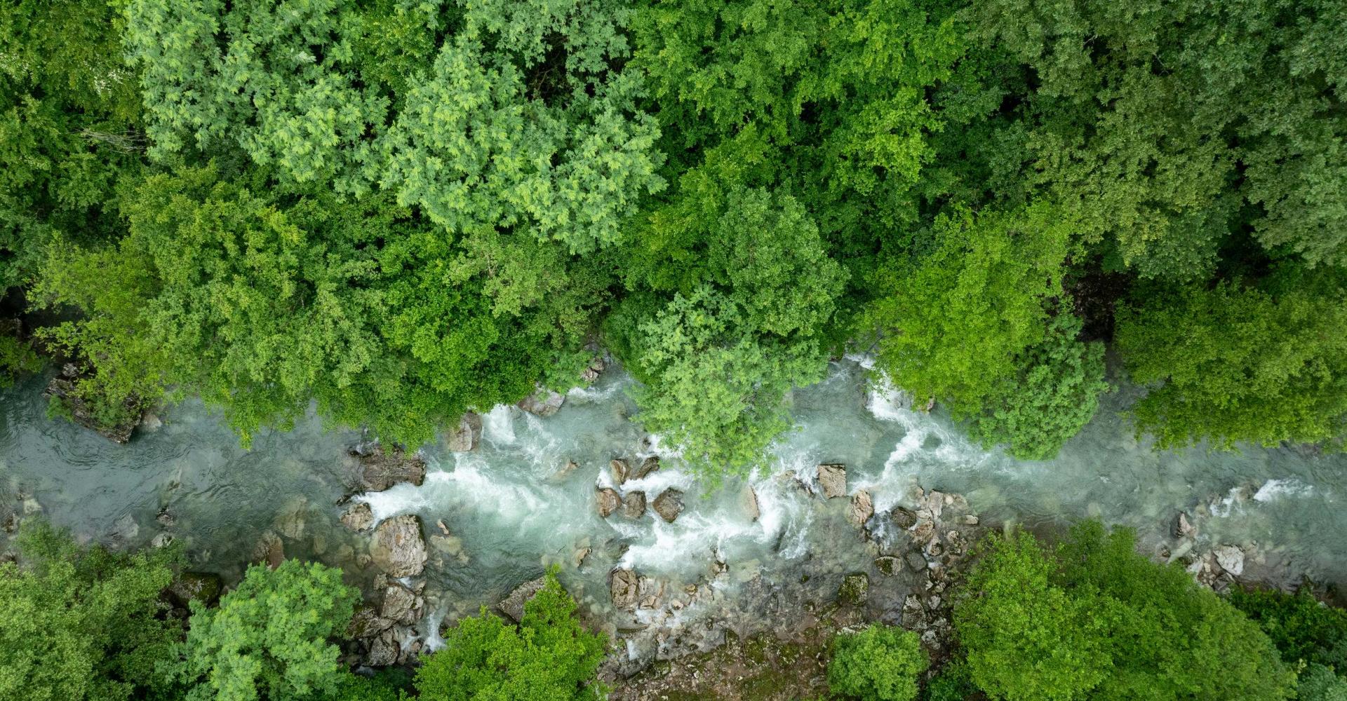 Aerial view of Veliki Rzav near Arilje in Serbia.
