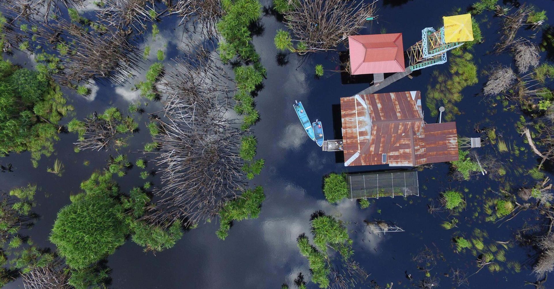 Koran River // The camp for peatland restoration that monitors the flora and fauna in Sebangau National Park, Central Kalimantan Indonesia