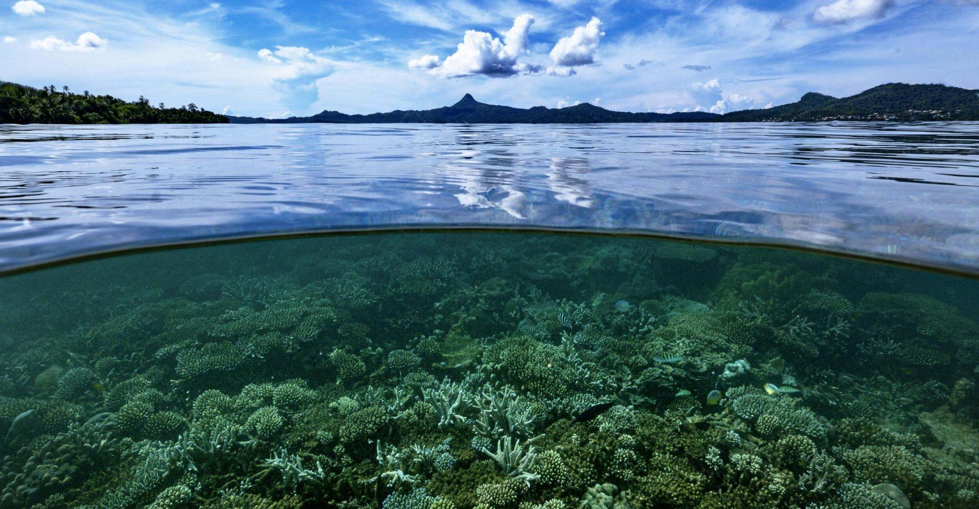 Choungui mountain from the reef of Tahiti beach Mayotte Indian Ocean
