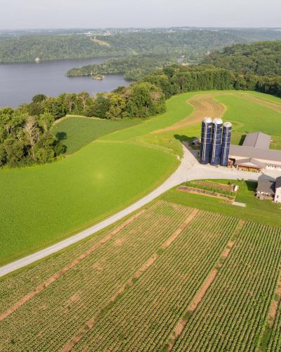 Fields