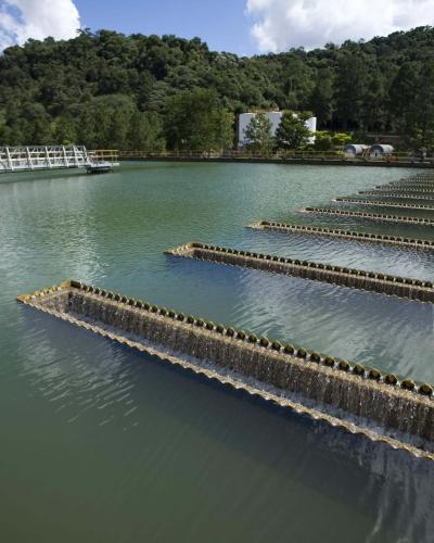Water treatment holding tanks at the water purification facility that supplies fifty percent of Sao Paulo's drinking water, Brazil.