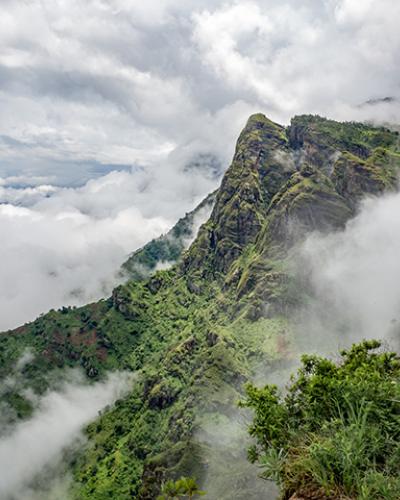 Usambara Mountains in mist