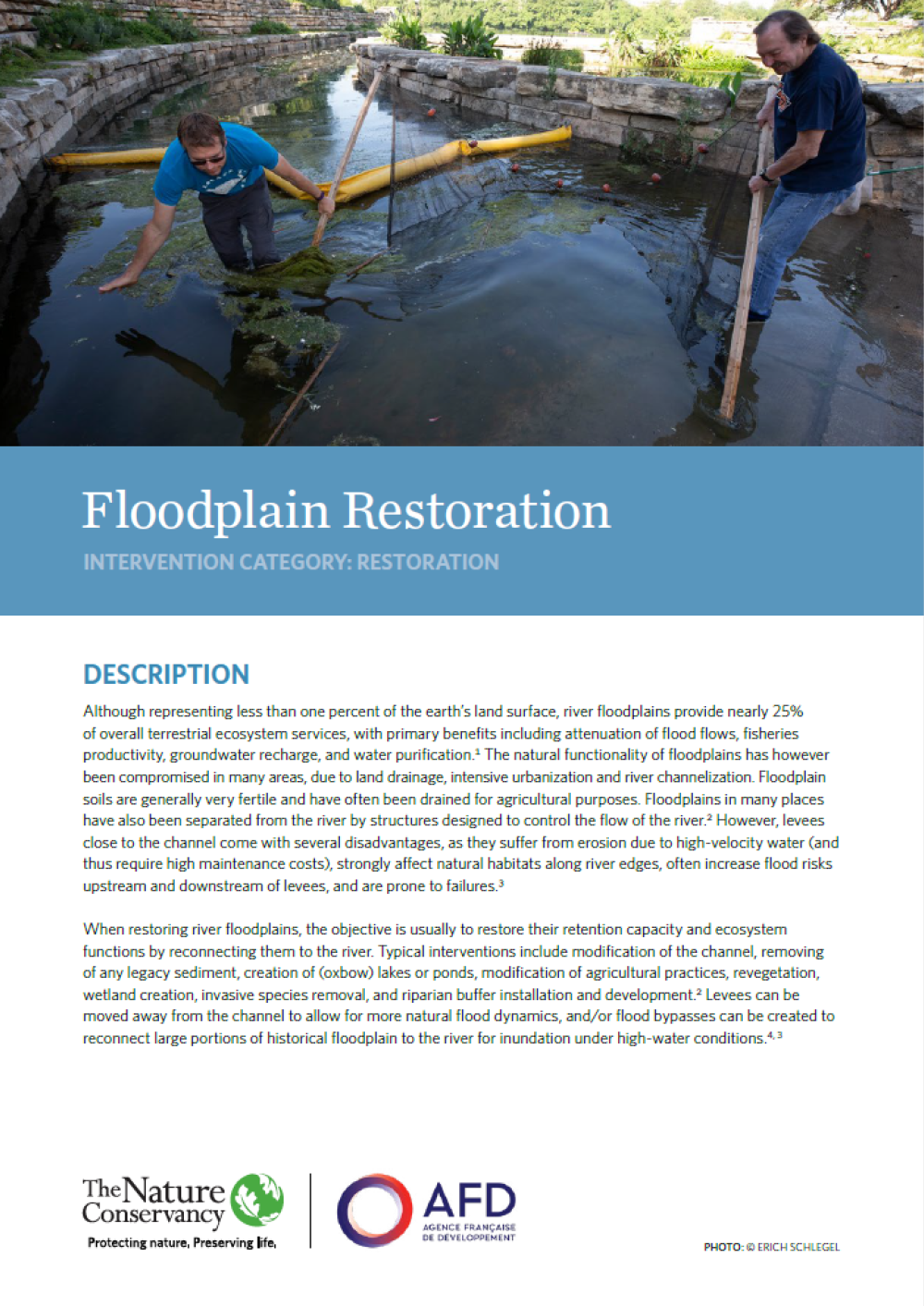 Screenshot of the factsheet