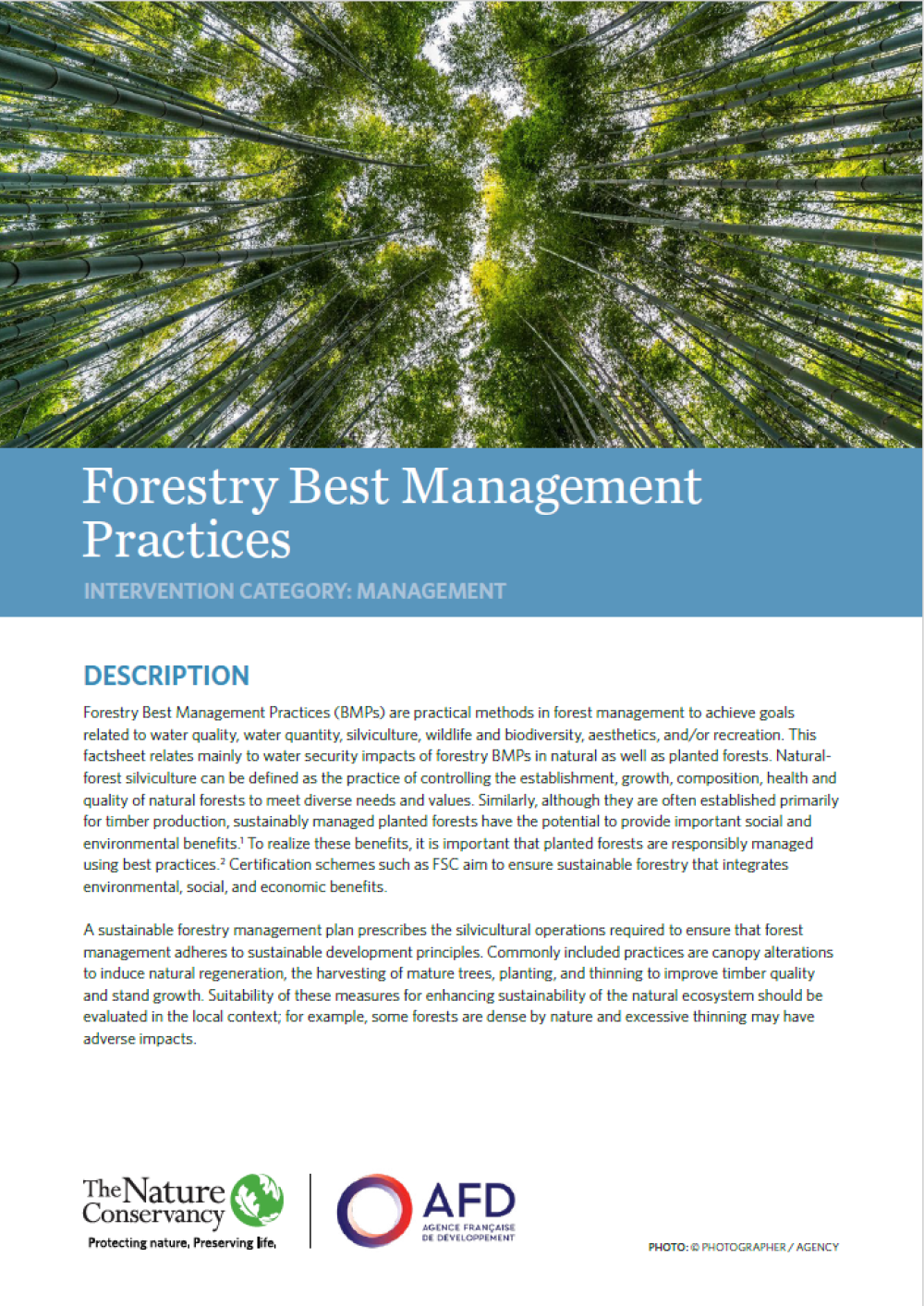 Screenshot of the factsheet