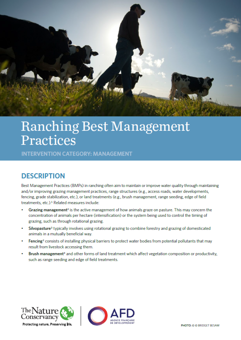 Screenshot of the factsheet
