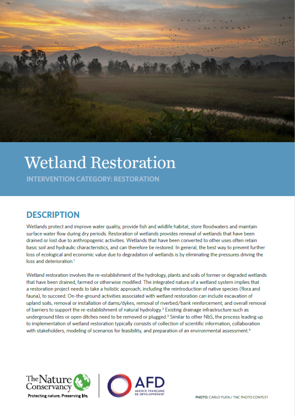 Screenshot of the factsheet