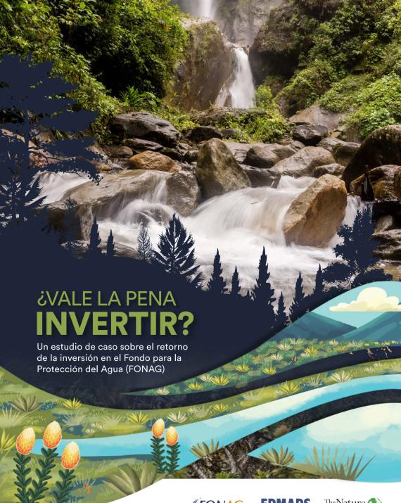 screenshot of the report