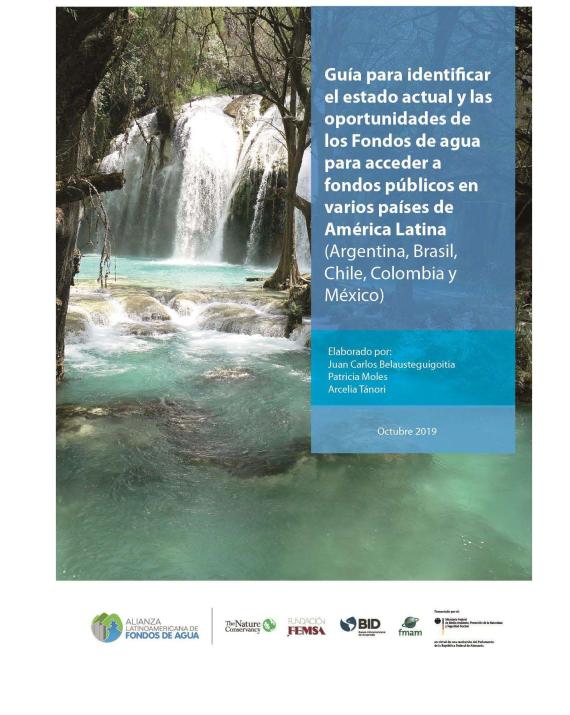 screenshot of the report