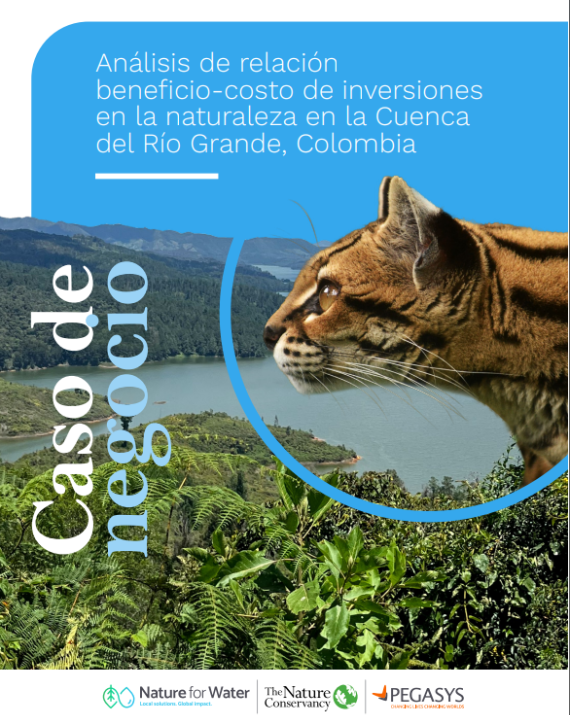 screenshot of the report