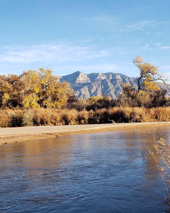 View of Rio Grande with vegetation on banks