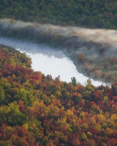 Maine river and forest