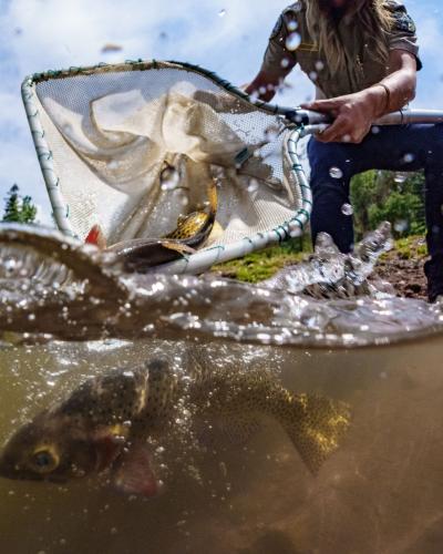 Closeup of fishing net held by a man kneeling close to water