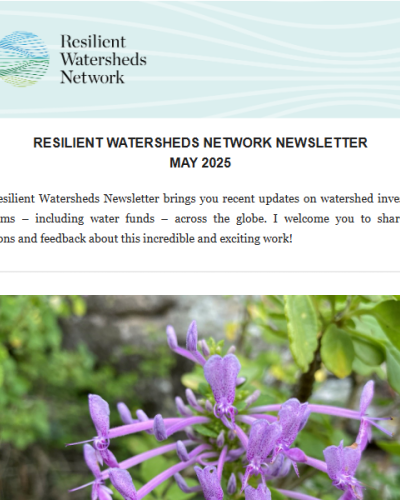 Newsletter page Screenshot
