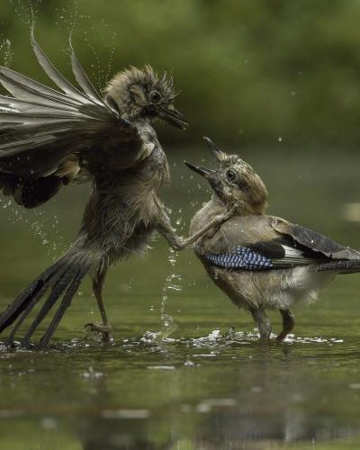 Newsletter page Screenshot